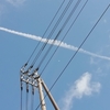 さわやかな秋の空　　　　　　　　　　　　　　　　　　　　　　　　　　　　　　　　　　　　　のぶどうや萩の花