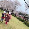 岩槻城址公園桜祭りレポ2023.03.25