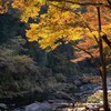 【11月9日現在】秋川渓谷の紅葉