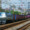 7月8日撮影　東海道線　平塚～大磯間　久しぶりの貨物列車撮影　5075ㇾ　5095ㇾ