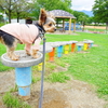 【西南公園】スカイパークすぐ横の穴場スポット💛