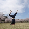 生命のヨガ　途切れることのない流れ　