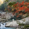 長門峡トレッキング　① 　入峡