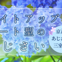 幸せを呼ぶかわいい ハートのあじさい を見つけて恋を叶えよう Mkメディア 幸せを呼ぶかわいい ハートのあじさい を見つけて恋を叶えよう Mkメディア