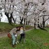 岡崎城公園でお花見！シャーピンと水煎包が美味しい！