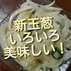 新玉葱が美味しくて毎日いろいろ食べてます！