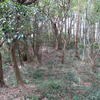 須多田天降天神社古墳　福岡県福津市須多田