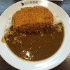 ダイエット20日目　髪を切って夜はココイチに行ってカレーを食べていい気分転換でした