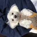今日トピ blog