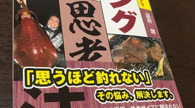 【10月5週】10月最後の週末！エギングに最適な水温とは？【11月1週】