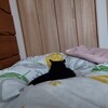 われは雲丹の子