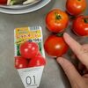 【採って作って食べる】トマトとアールグレイのマリネ