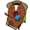 【追い切り注目馬】【札幌日経OP】【旭川特別】他　2024/8/3(土) 札幌競馬　グンと良化