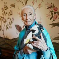 世界のこぼれ話