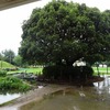 雨の日が続く中で