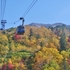 実際に訪れた日本の紅葉名所おすすめ｜紅葉と温泉を楽しむ旅
