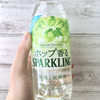 【ビール気分の炭酸水】ポッカサッポロの「GREEN SHOWER（グリーンシャワー）」で草生えますわなwww