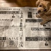 イケガミからトーキョーへ？
