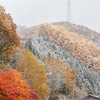 紅葉+雪が見せる景色とは？