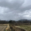 2025/03/28 金曜日　久しぶりの雨