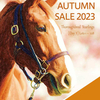 【オータムセール2024(Autumn Sale)】の全上場馬が最終確定(383頭)