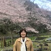 月の道の山桜　咲き始める