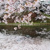 散る桜　残る桜も　散る桜