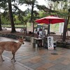 大型連休にキャンピングカーで行く奈良･京都くるま旅 Day4 東大寺･春日大社･新薬師寺･ならまち･道の駅 大和路へぐり