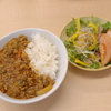 豚ひき肉とネギたっぷりの根菜和出汁カレー