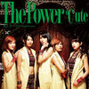 【鈴木愛理・岡井千聖（℃-ute）】The Power／悲しきヘブン♪の初回盤Aのジャケ写が公開!!!