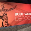 Body Worlds Decoded