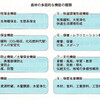 森林の多面的な機能から生態系サービスへの環境危機