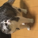 にゃんころ餅