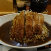 からあげカレー「からやま」