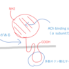 ニコチン受容体の分子生理