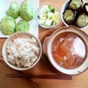 １２月 愛用食(地味飯229(5日分))