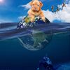 レイヤーマスクを駆使して水面下の物体を描く Photoshop Elements