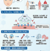 眼筋型重症筋無力症（Ocular Myasthenia Gravis, OMG）- 2025年最新エビデンス