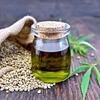 CBD Oil— The Benefits For Psychophysical Well-being