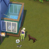 【02】犬二匹と暮らすタイニーハウス（犬小屋つき）（SIMS4初期資金で開業！動物病院プレイ）