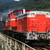 DD51 842牽引 小野上工臨運転