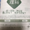 学習記録  05/19  ーはっぱ写真作成