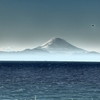 今日は本当に天気の良い日でした