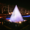 Winter Vista Illumination 2011 (1)