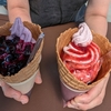 「田中農園」自家製果実のプレミアムソフトクリーム