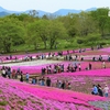 皐月の花園。