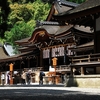 大神神社写真館(１１/１)