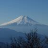 権現山と扇山をつなぐ　　　　　2016.12.18