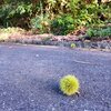 立秋｜陽当たり良好の時間だった。