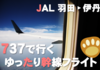 【大阪遊覧】737でゆったりと行く幹線フライト｜JL107 HND▸ITM